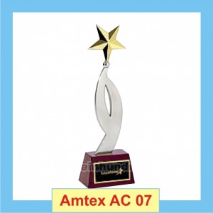 Amtex Executive Award
